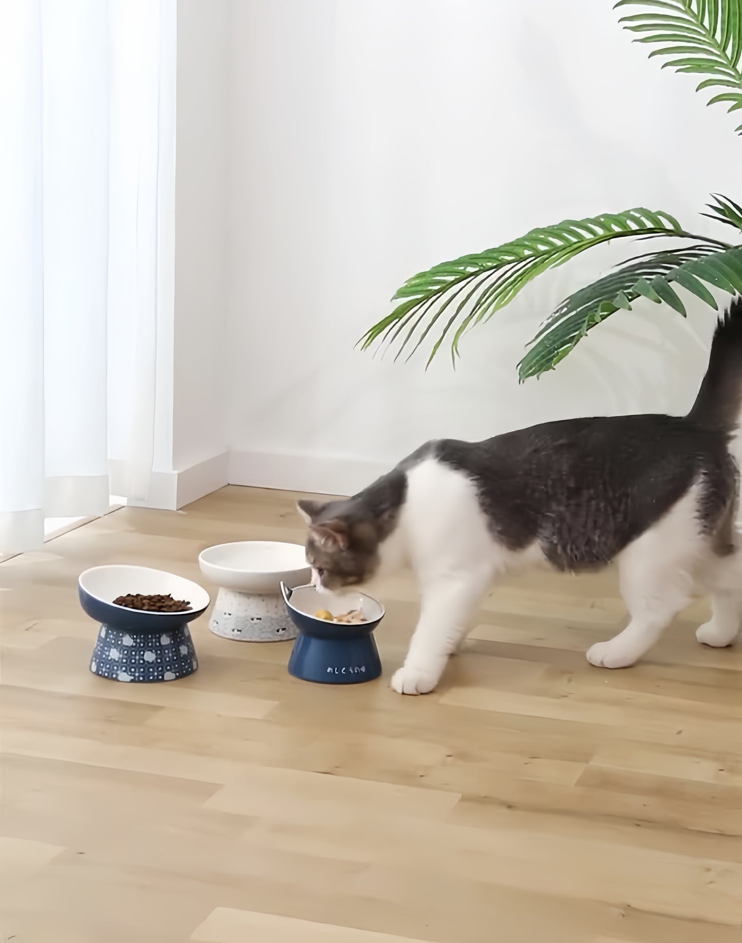 Japanese-Style Ceramic Double Bowl | Anti-Spill Food & Water Bowl for Cats and Dogs