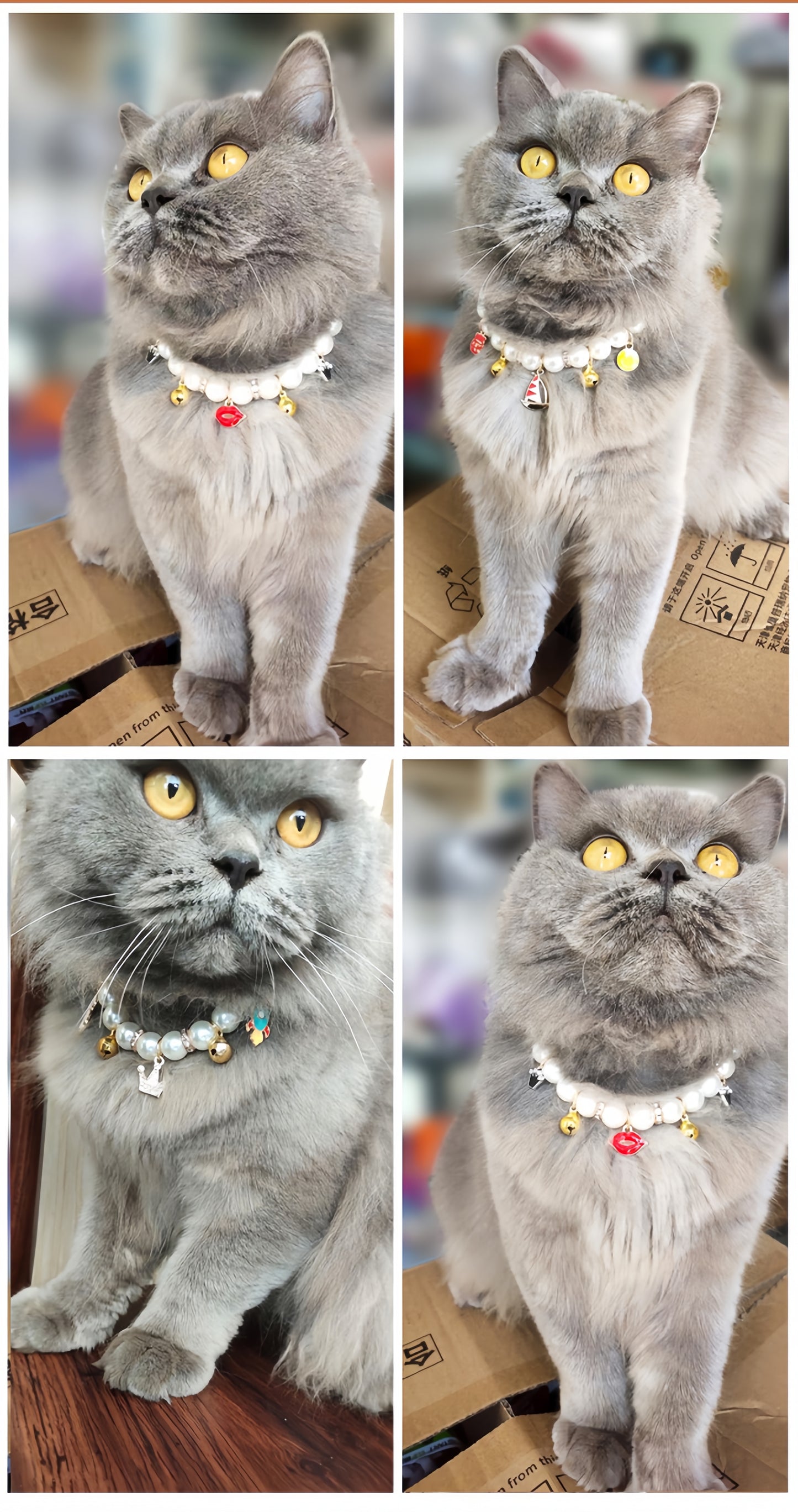 Faux Pearl Cat Collar with Bell | Charming Star, Crown, Sailboat & Red Lips Designs