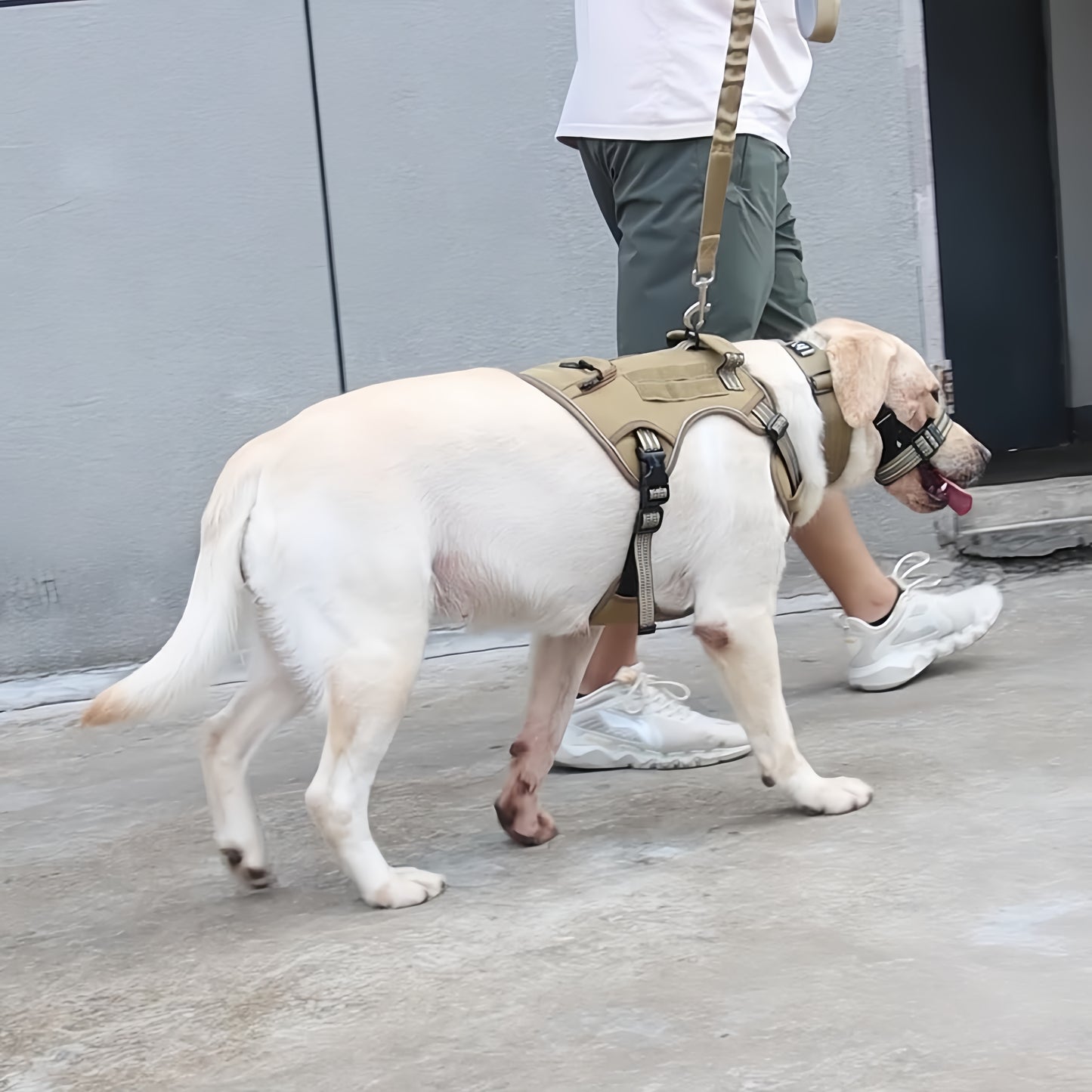 Tactical Bungee Dog Leash with Car Seat Clip – Anti-Shock & Tangle-Free for Strong Pullers